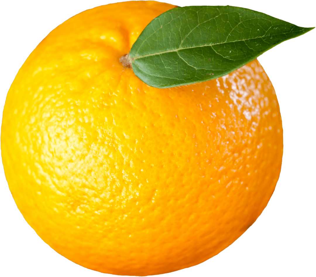 Vibrant Orange with Green Leaf Transparent Background