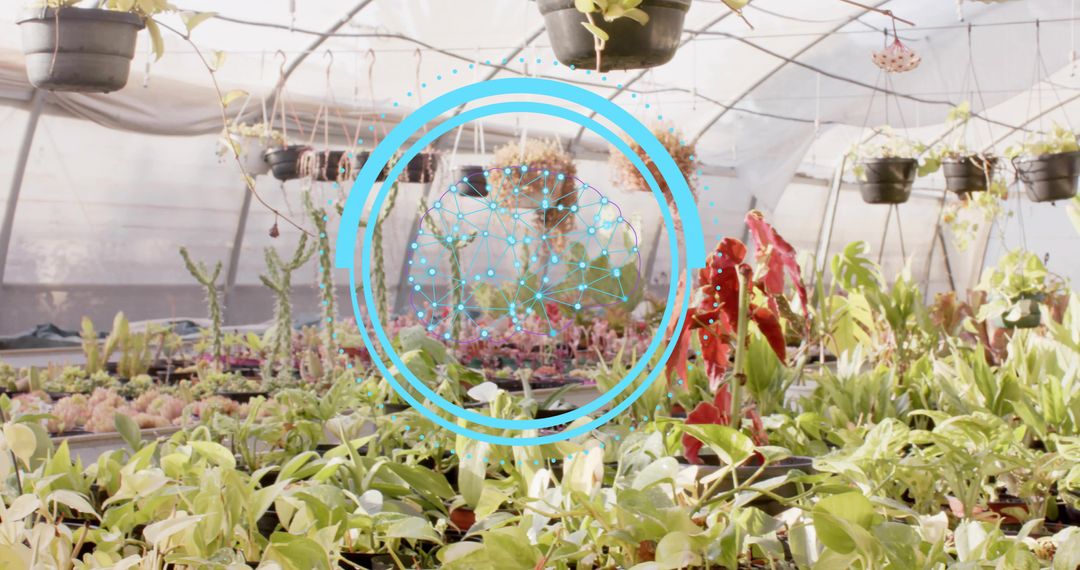 Greenhouse Plants Showing Augmented Reality Crop Analytics Overlay for Nursery Propagation