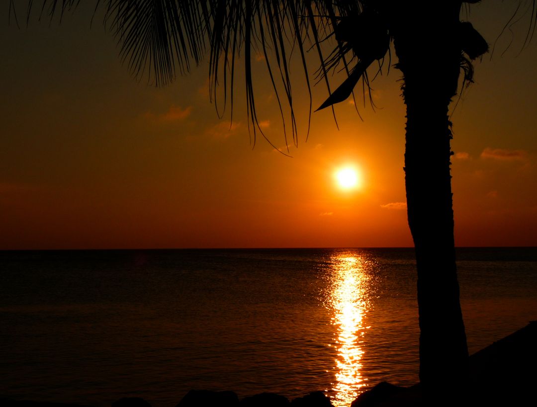 Caribbean sunset - Free Images, Stock Photos and Pictures on Pikwizard.com