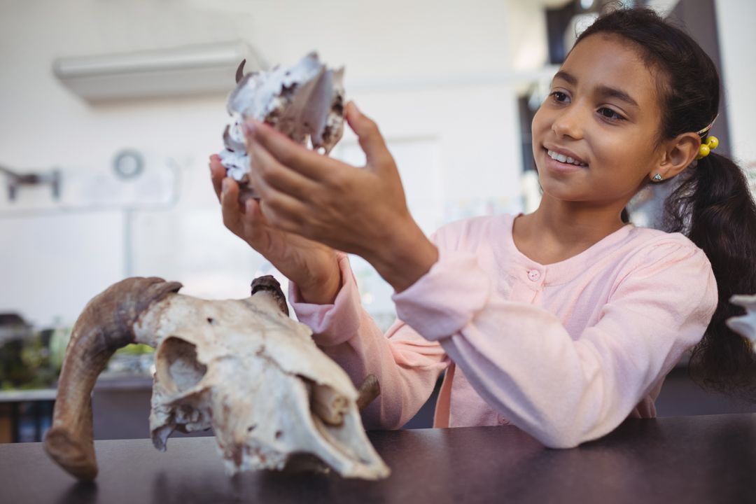 Happy elementary student examining animal skull by desk - Free Images, Stock Photos and Pictures on Pikwizard.com