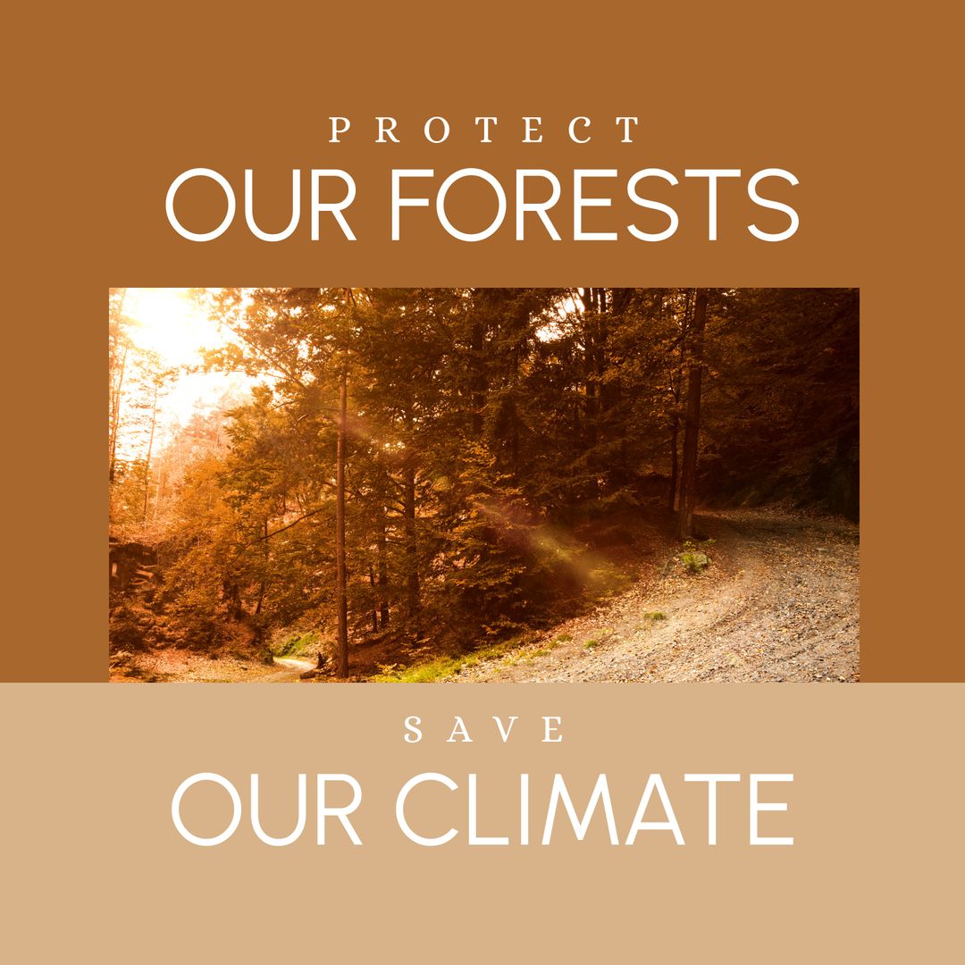 Forest Preservation Message Radiating Awareness During Sunset