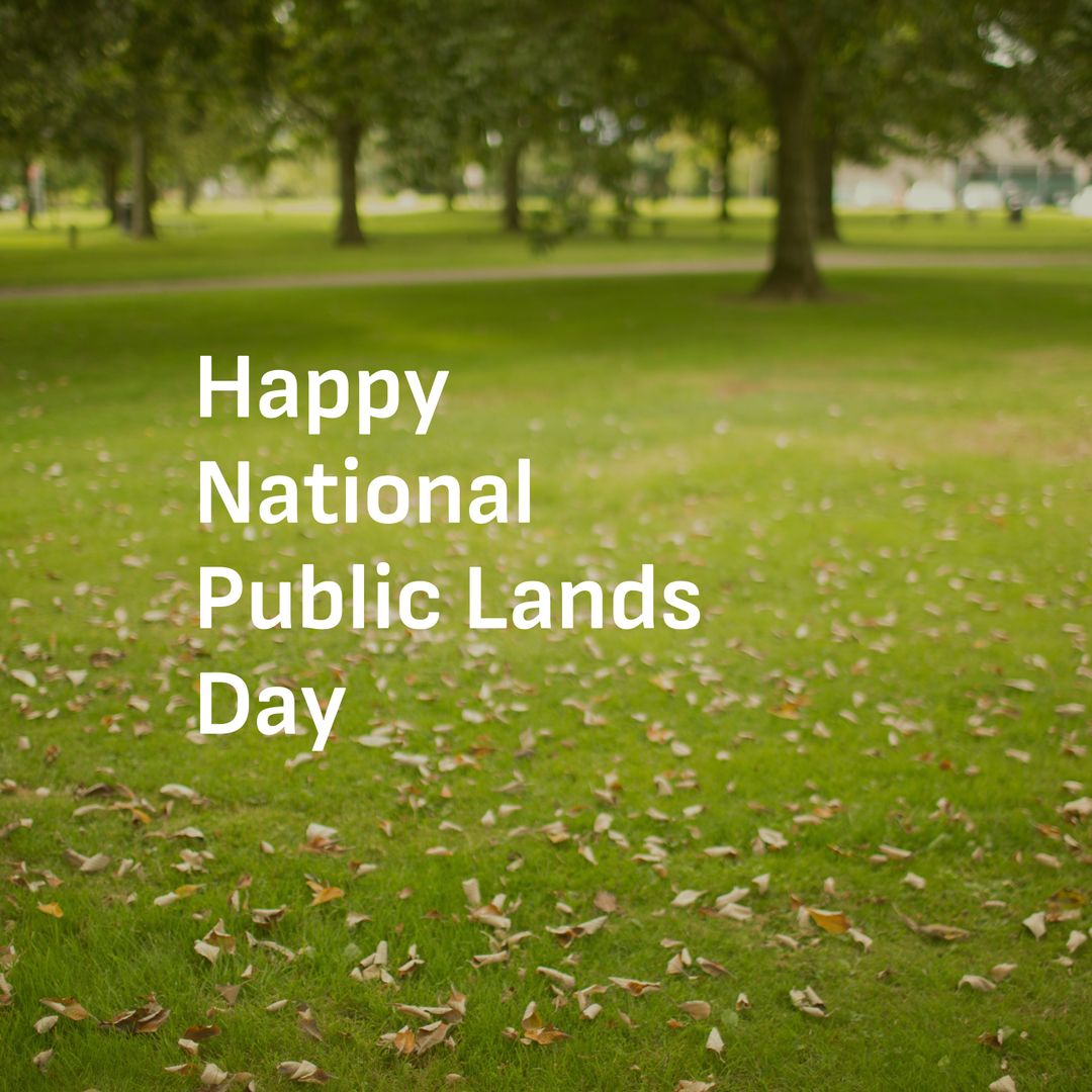 National Public Lands Day Park Setting with Green Leaves