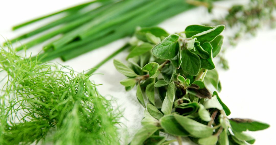 Fresh Organic Herbs and Spices on White Background - Free Images, Stock Photos and Pictures on Pikwizard.com