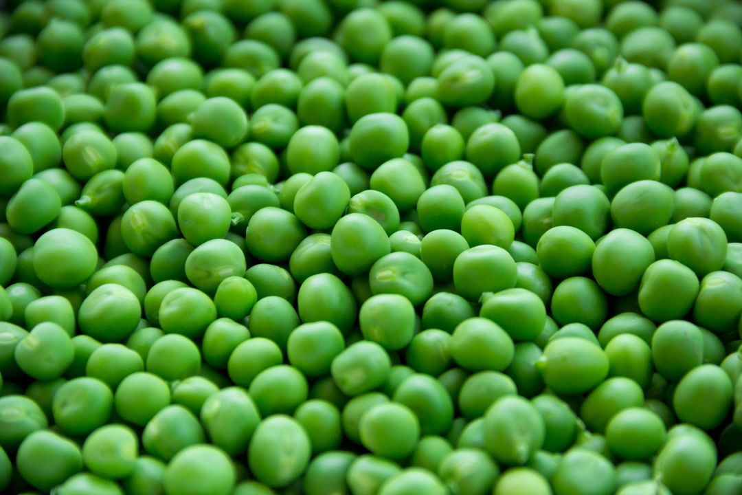 Full Frame Shot of Green Peas - Free Images, Stock Photos and Pictures on Pikwizard.com