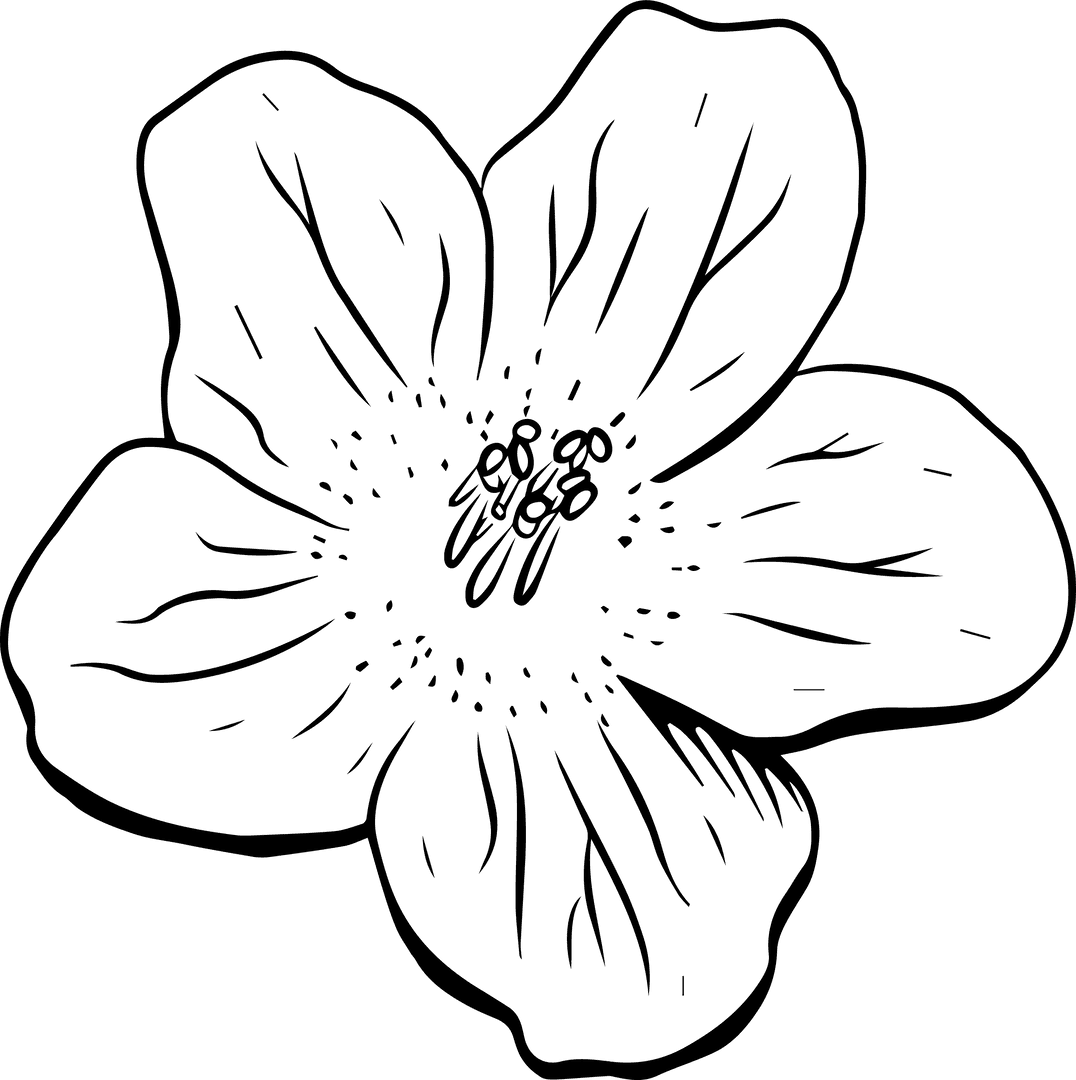 Elegant Line-Art Flower on Transparent Background for Nature Projects