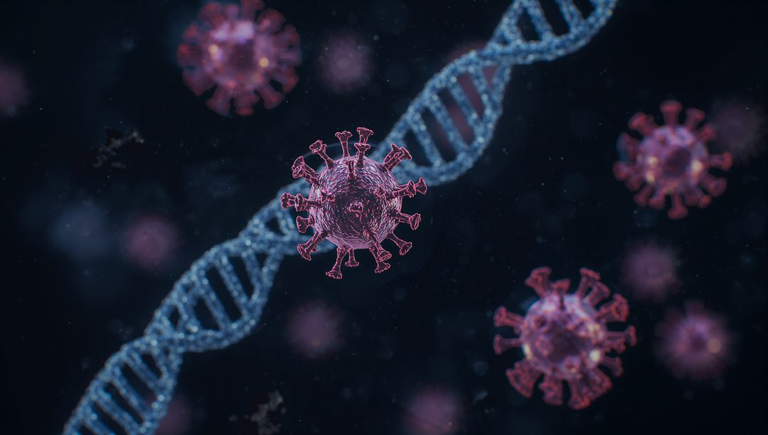 Virus Particles with DNA Helix in Molecular Space