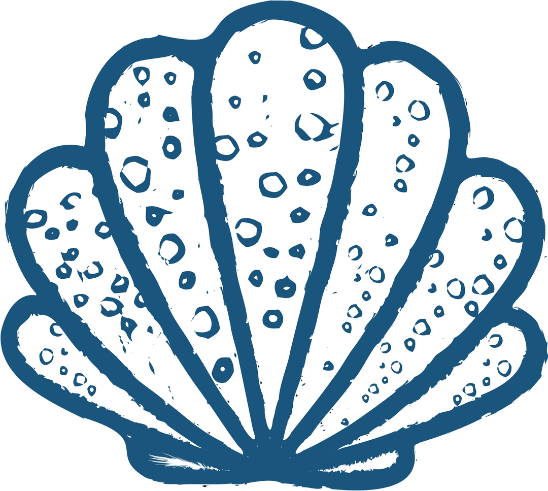 Transparent Shell Illustration with Blue Dots