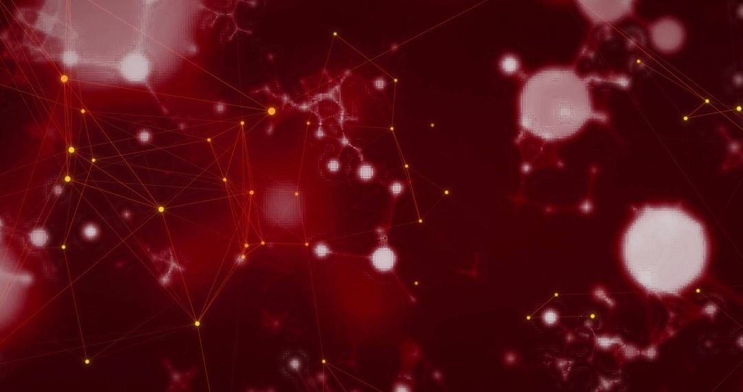 Digital Network Web of Connections