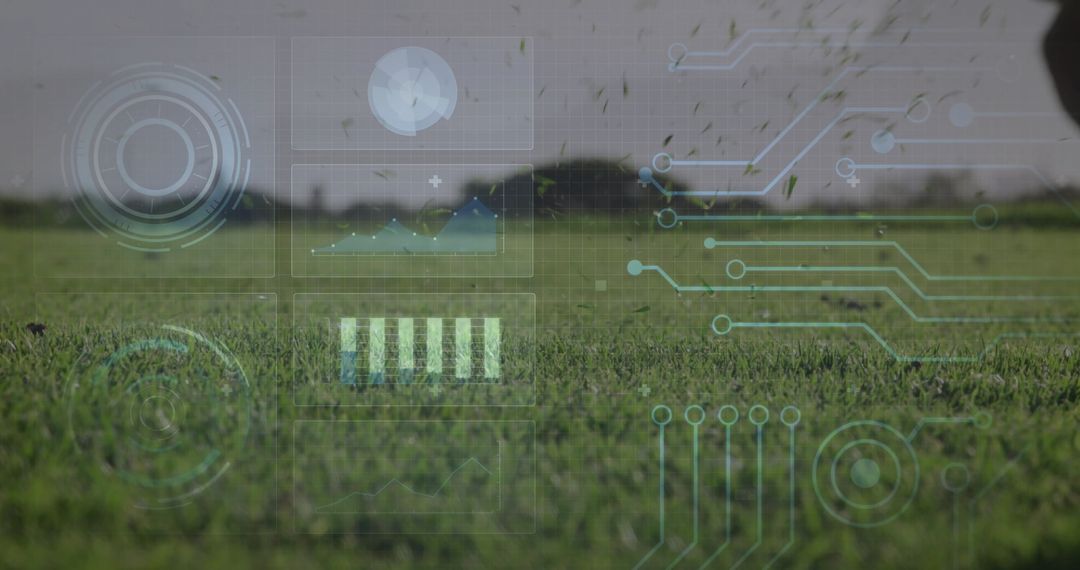 Digital Interface Overlaying Grassy Field Skyscape