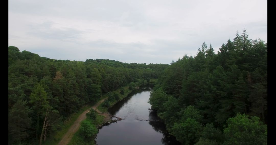 Aerial View of Calm River Surrounded by Dense Forest - Free Images, Stock Photos and Pictures on Pikwizard.com