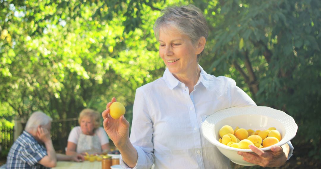 Senior Woman Harvesting Apricots in Sunny Garden - Free Images, Stock Photos and Pictures on Pikwizard.com