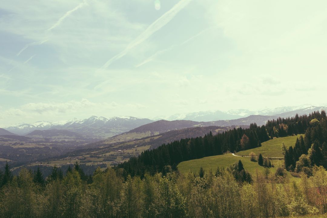 Scenic Mountain Landscape with Pine Trees and Rolling Hills - Free Images, Stock Photos and Pictures on Pikwizard.com