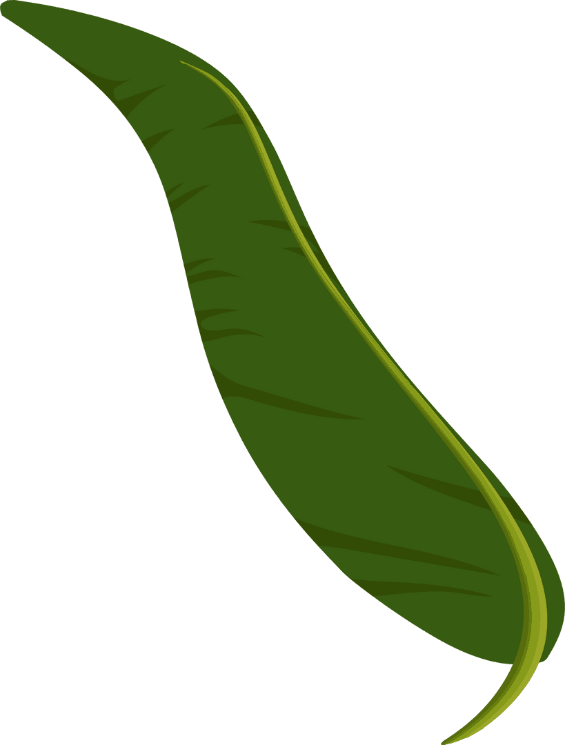 Tropical Leaf with Glossy Green Frond on Transparent Background