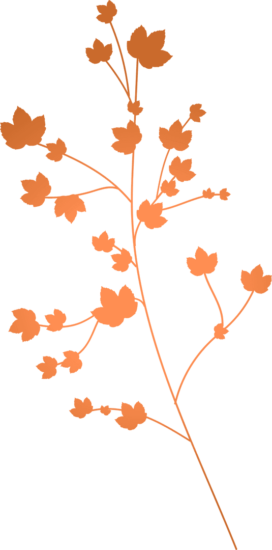 Stylized Orange Plant Branch on Transparent Background Vector Illustration