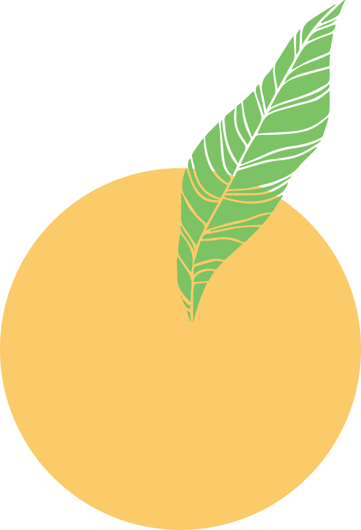 Abstract Yellow Fruit with Green Leaf on Transparent Background