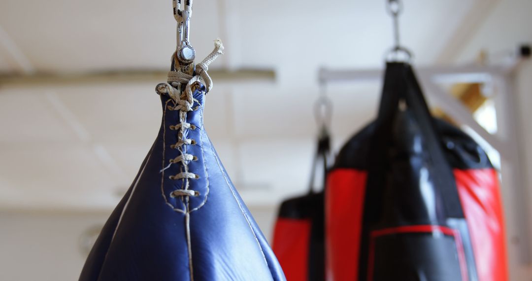 Hanging Boxing Speed Bag in Focus at Gym - Free Images, Stock Photos and Pictures on Pikwizard.com