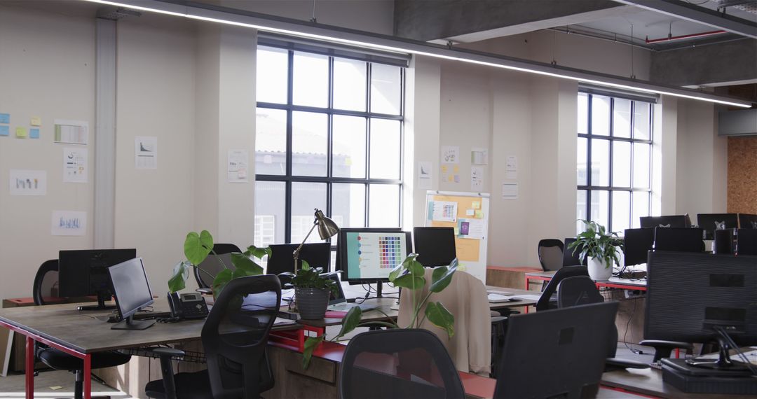 Modern Open Office Space with Computers and Plants