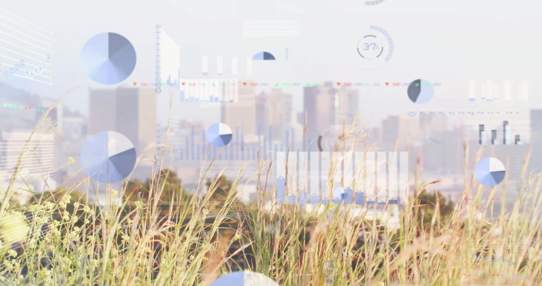 Data Visualization Overlay on Urban Landscape with Grass