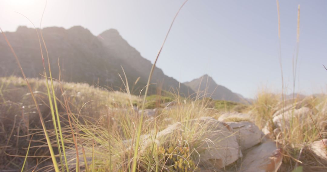 Serene Mountain Landscape with Dry Grass and Rocks - Free Images, Stock Photos and Pictures on Pikwizard.com