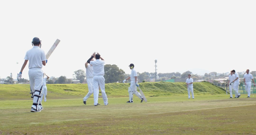 Cricket Players Celebrating Wicket on Sunny Field