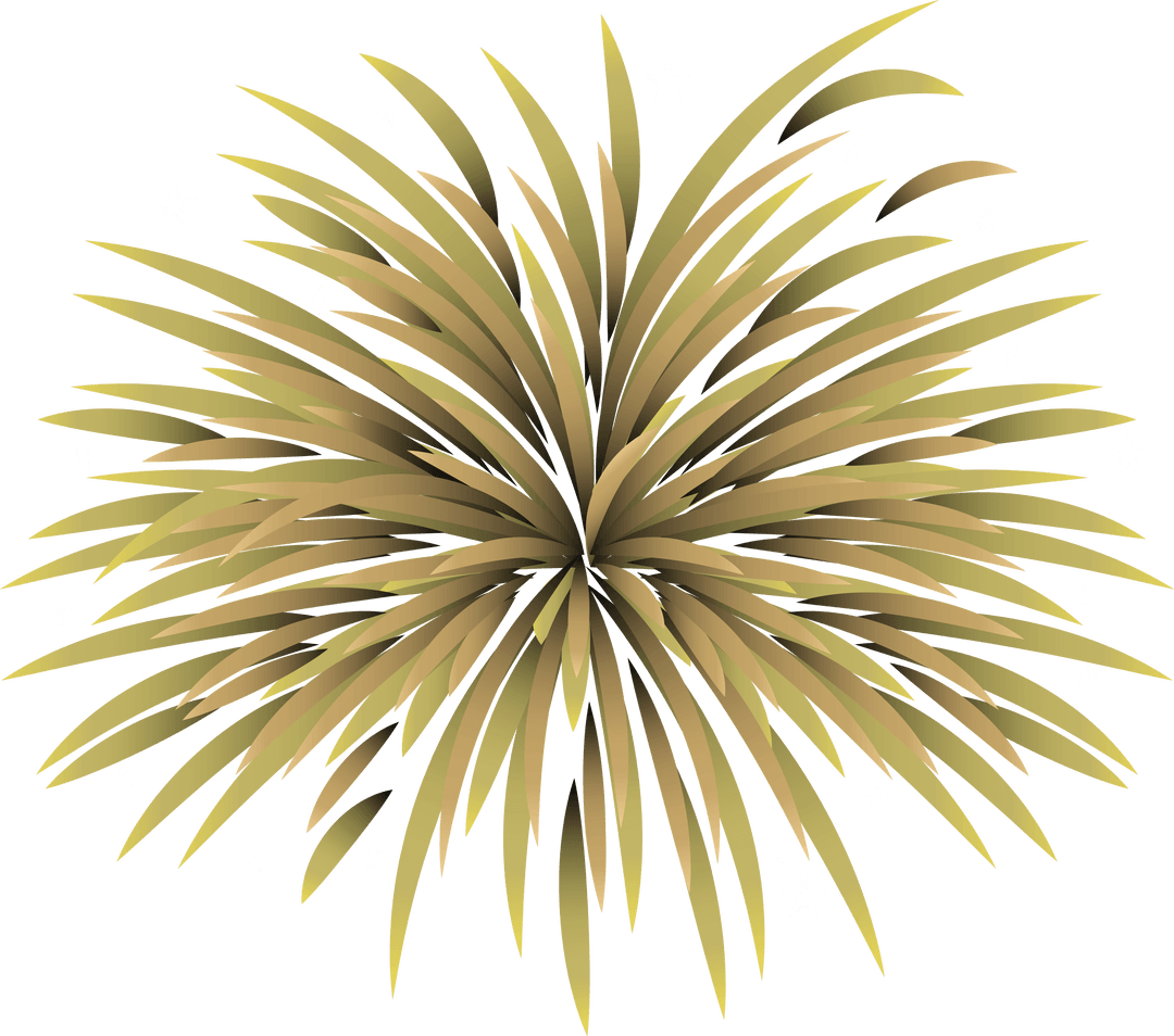 Abstract Fireworks Shape on Transparent Background
