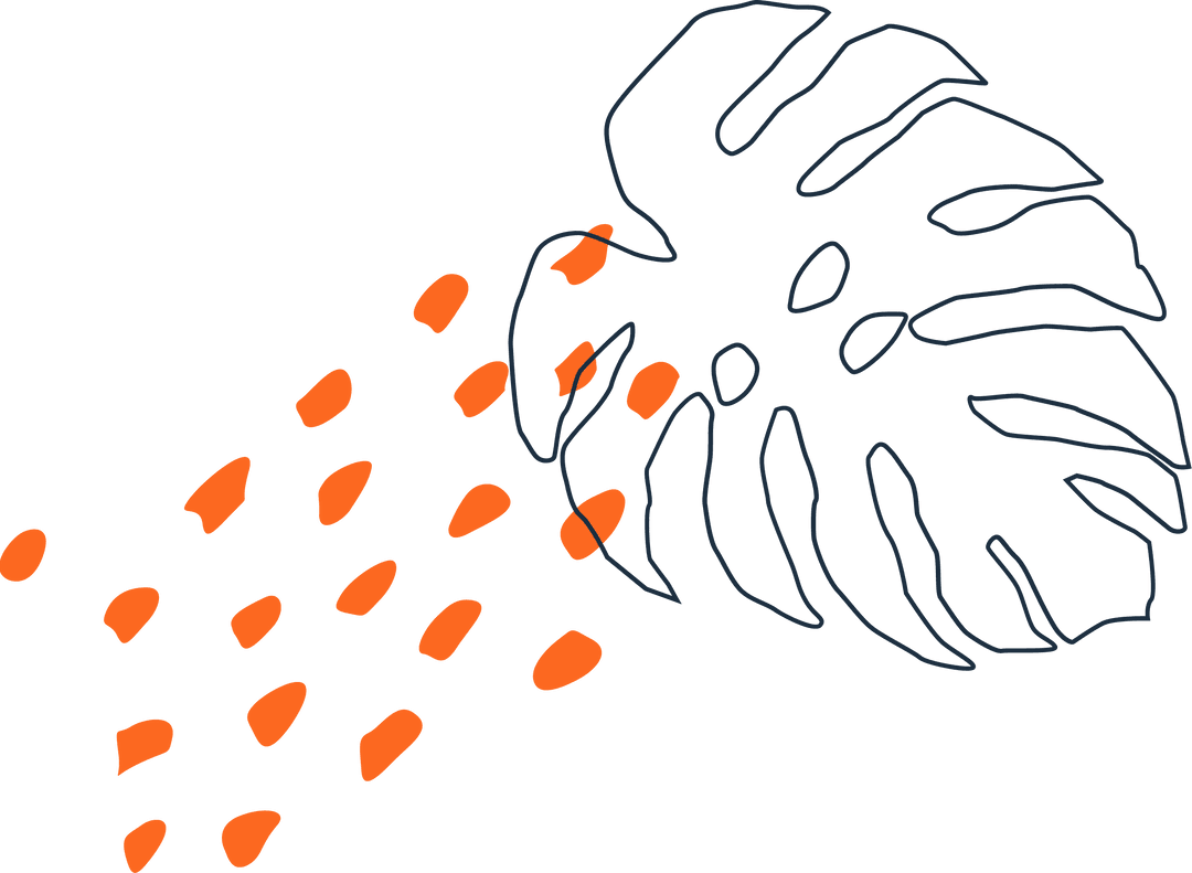 Minimalistic Monstera Leaf Design on Transparent Background