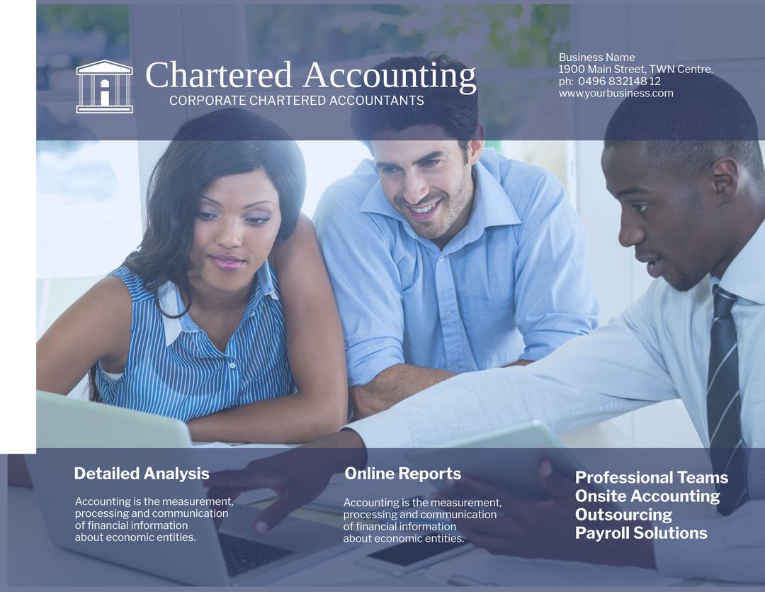 Chartered Accountants Conducting Detailed Financial Analysis