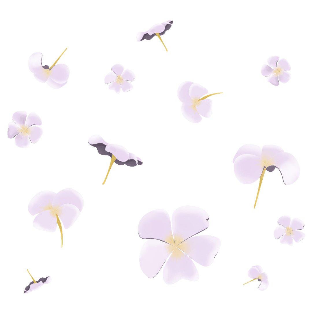 Abstract Purple Plumeria Blossoms on Transparent Background for Elegance