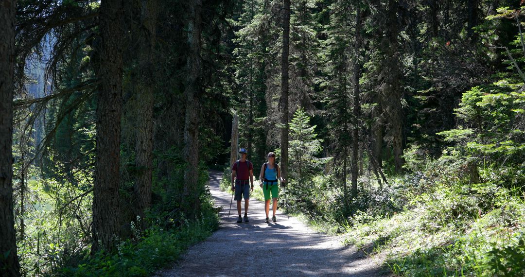 Couple Hiking on Forest Trail in Sunny Summer Day - Free Images, Stock Photos and Pictures on Pikwizard.com