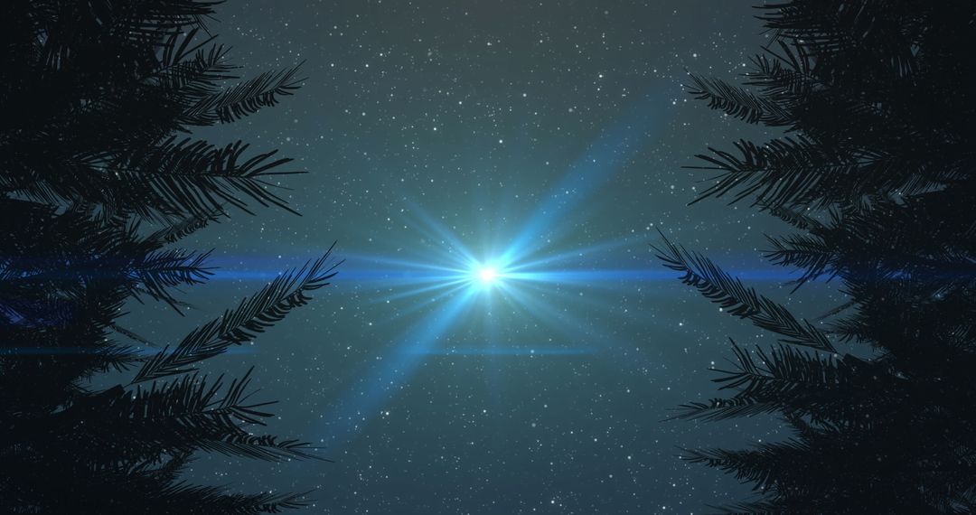 Night Sky with Bright Star and Silhouetted Trees