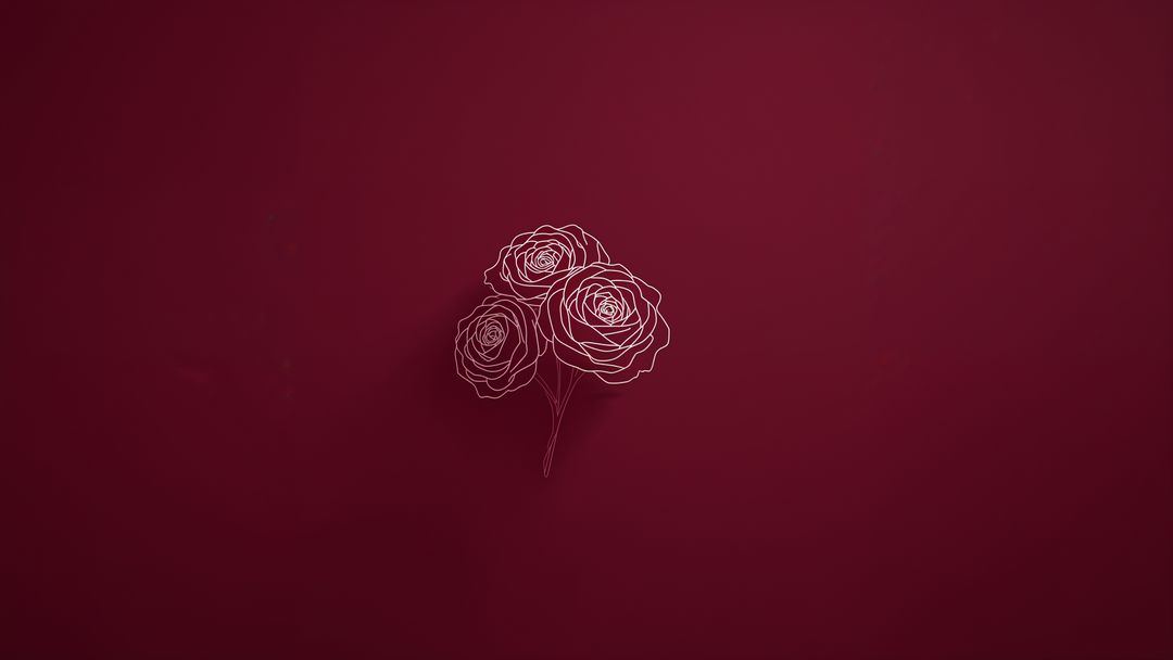 Line art white rose drawing set on deep burgundy for elegant minimalism