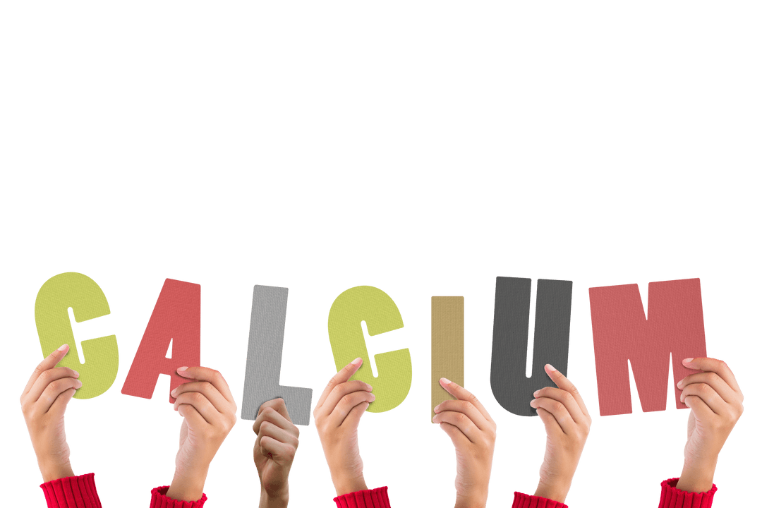 Hands Holding Calcium Letters on Transparent Background