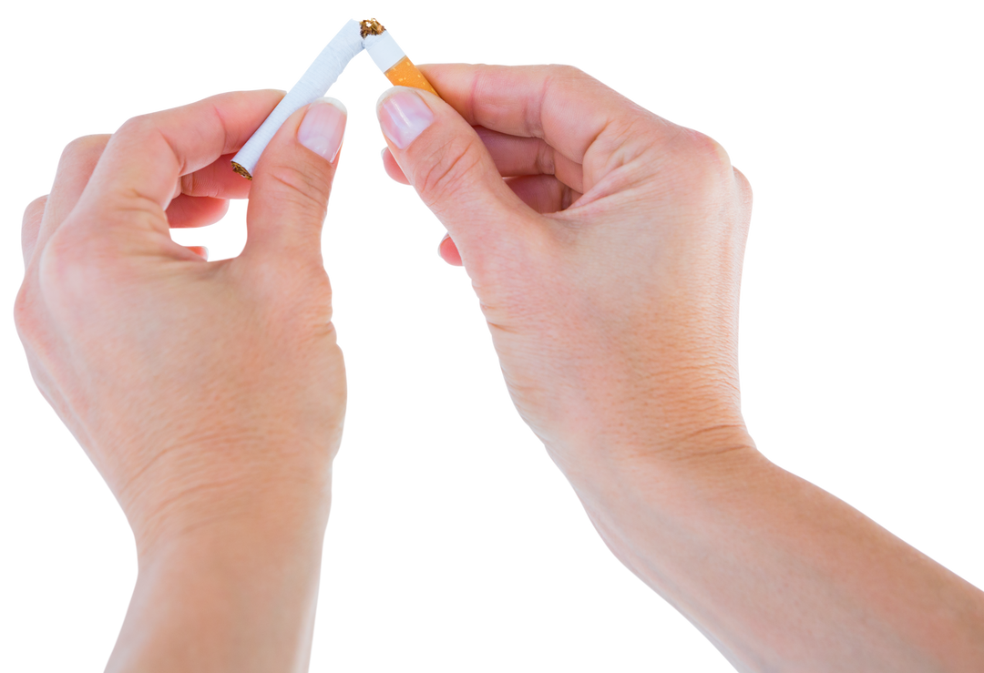 Close-Up of Woman's Hands Breaking Cigarette Against Transparent Background - Download Free Stock Images Pikwizard.com