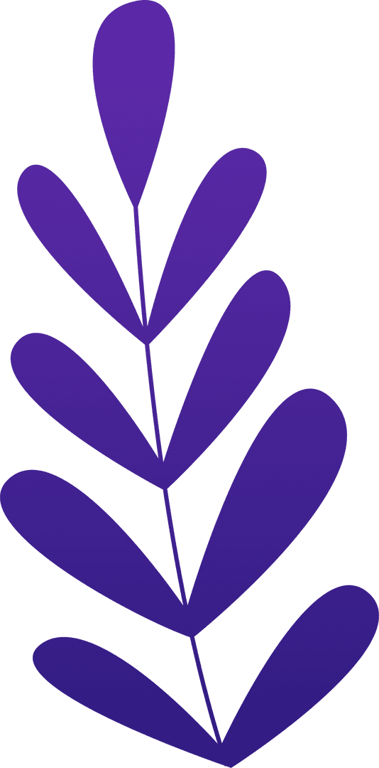 Purple Abstract Botanical Branch on Transparent Background