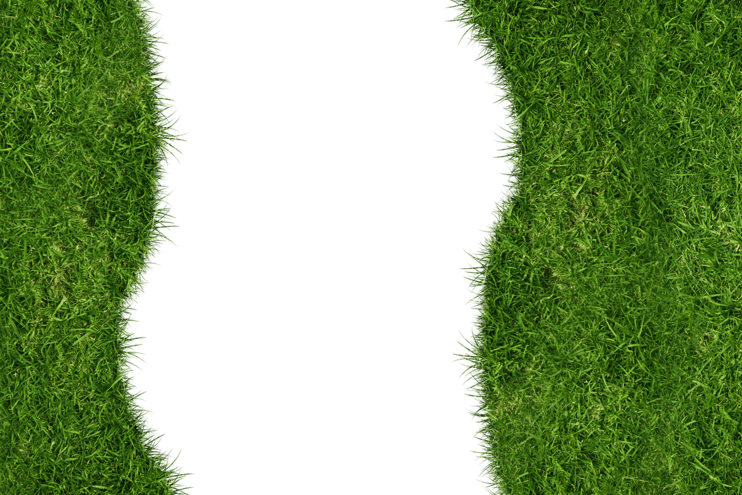 Green Grass Border on Transparent Background Holiday Concept