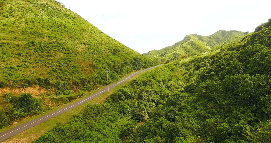 Transparent Green Landscape with Winding Road and Rolling Hills