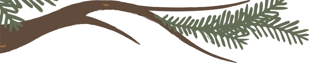 Minimalist Conifer Limb Illustration with Transparent Background