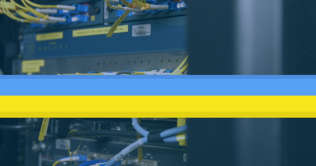 Network Cables in Data Center Showing Modern Digital Technology