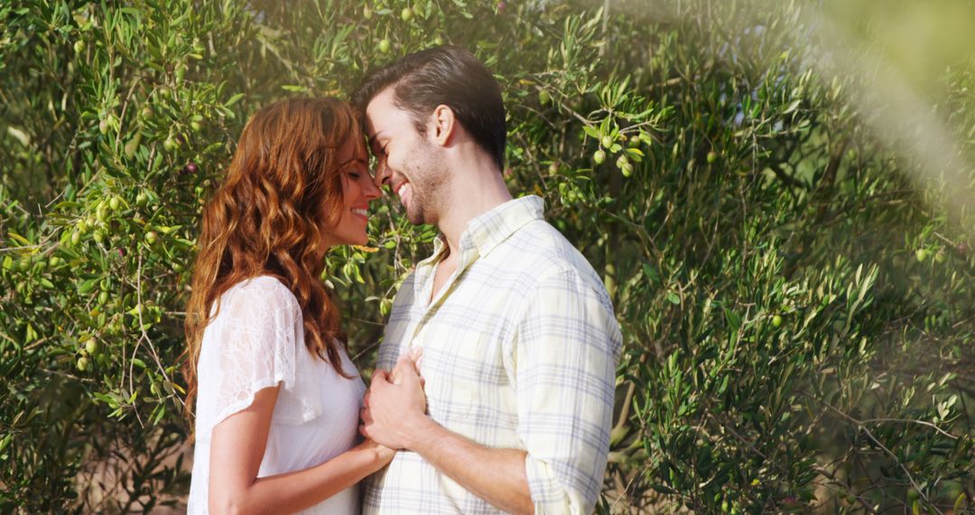 A young Caucasian couple is affectionately embracing in a sunlit olive grove, with copy space - Free Images, Stock Photos and Pictures on Pikwizard.com