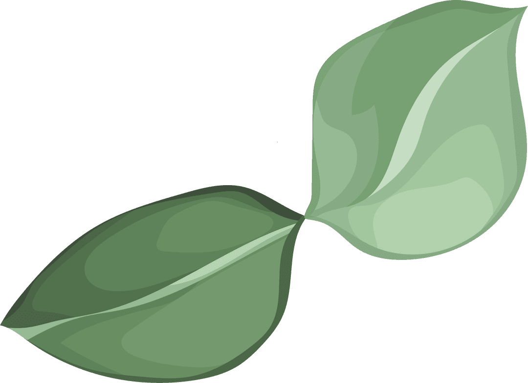 Minimalist Green Leaves on Transparent Background for Eco Designs