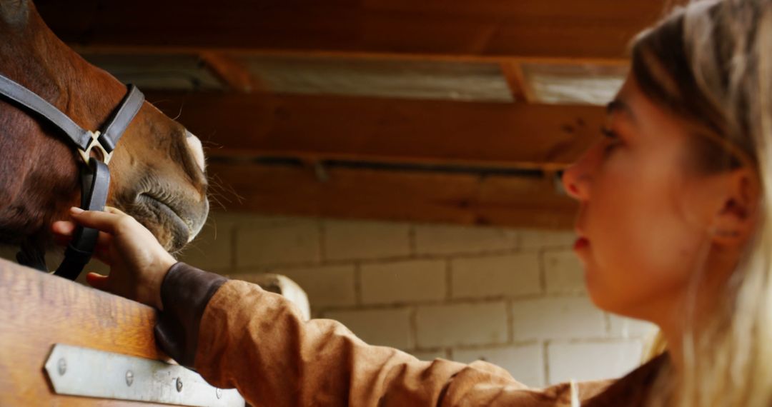 Woman Bonding with Horse in Stable - Free Images, Stock Photos and Pictures on Pikwizard.com