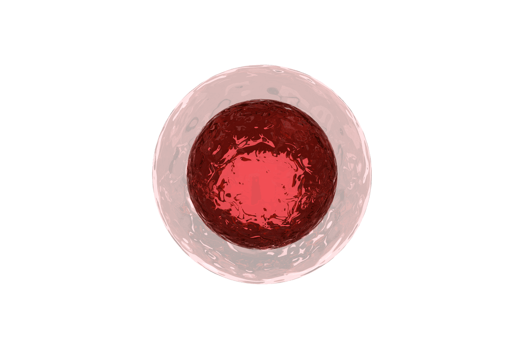 Transparent Red Cell Illustration in Digital Style