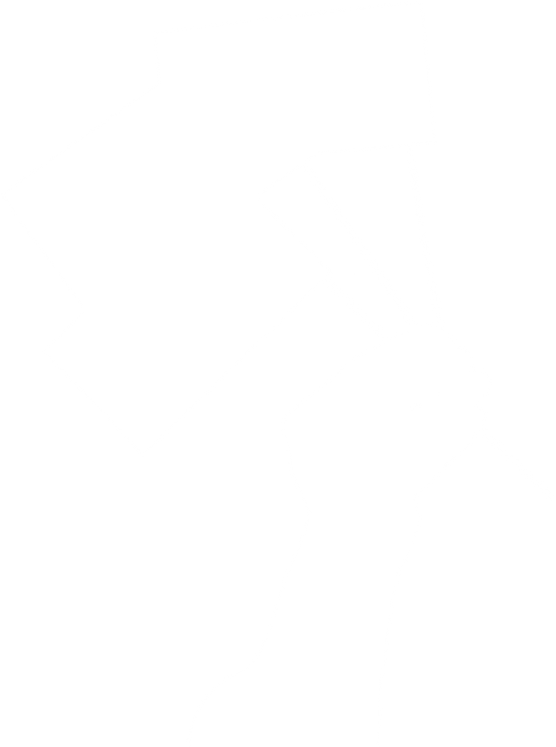 Transparent Silhouette in White of Hand Holding Flags - Download Free Stock Images Pikwizard.com