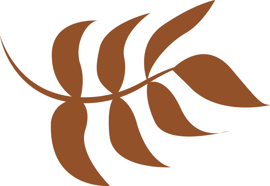 Curved Brown Leaves on Transparent Background for Botanical Design