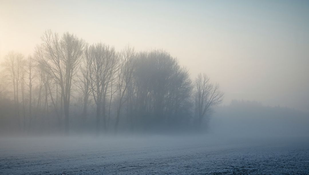 Misty Frosted Field with Bare Trees at Dawn Conveying Winter Solitude