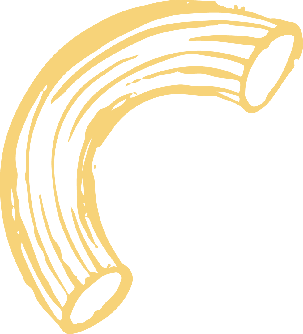 Illustration of Elbow Macaroni in Brushstroke Style on Transparent Background