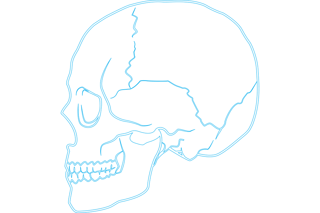 Transparent Blue Skull Illustration on Transparent Background