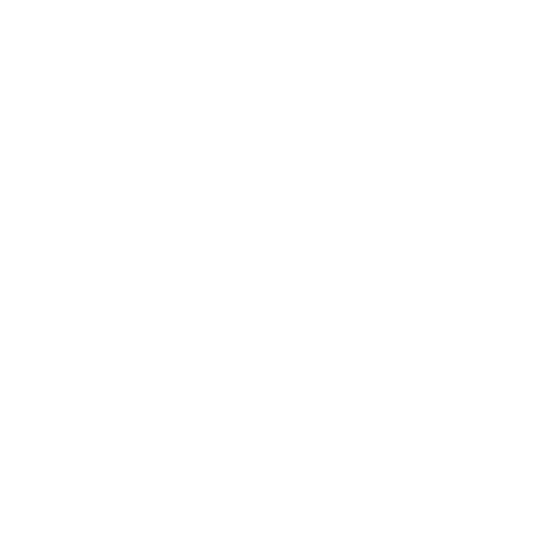 White Lifebuoy on Transparent Background Symbolizing Safety