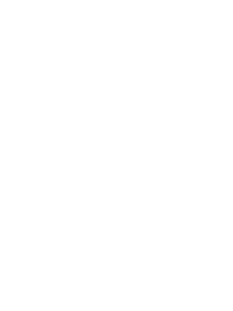 Transparent PNG Silhouette of Female Sport Fan Holding Scarf Over Head - Download Free Stock Images Pikwizard.com