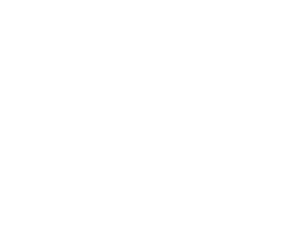 Transparent Silhouette of Sportswoman with Exercise Ball - Download Free Stock Images Pikwizard.com